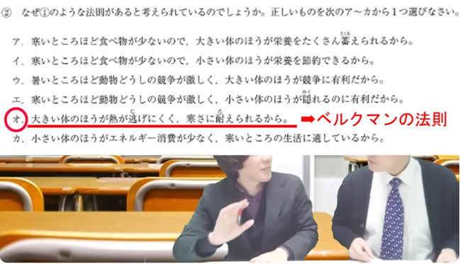 ベルクマンの法則