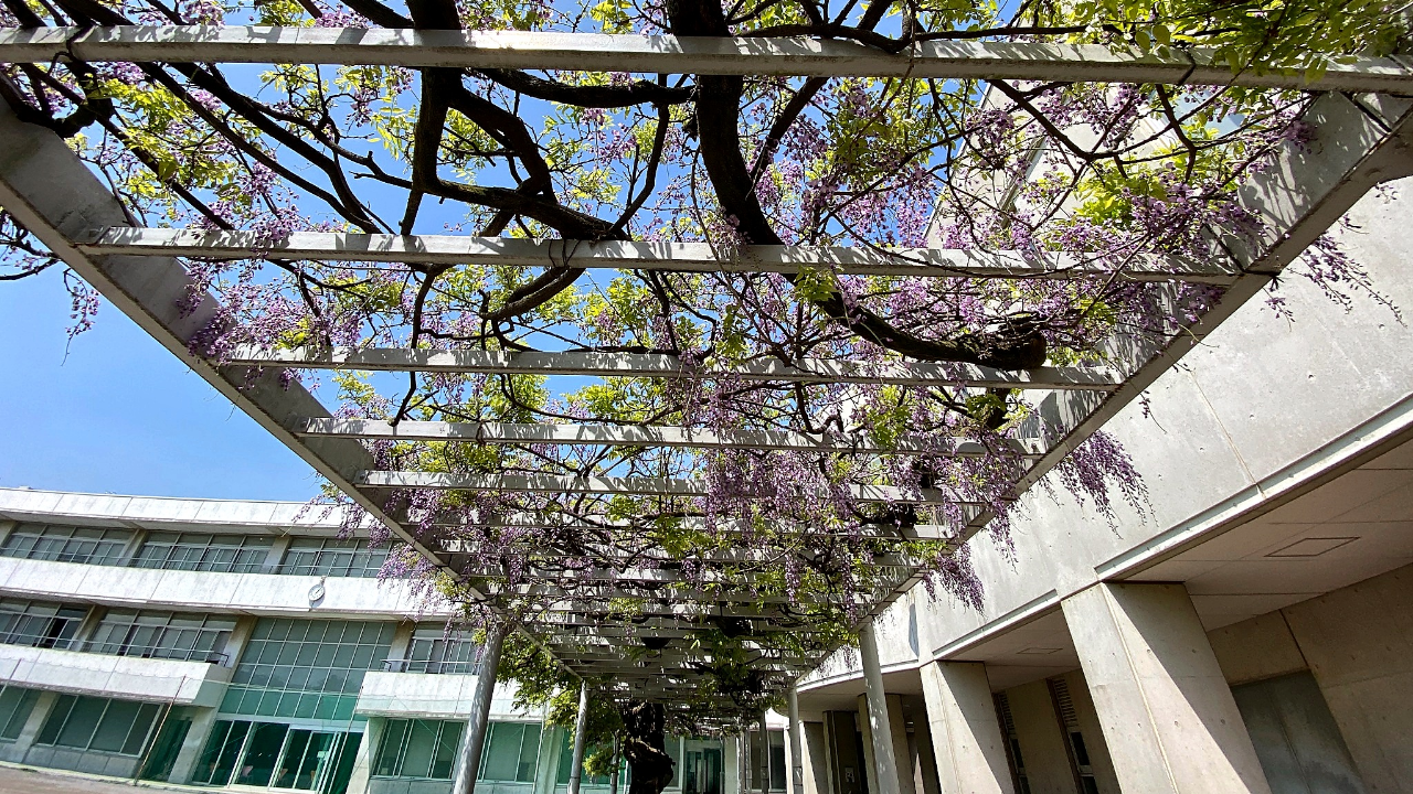 鷗友学園女子 鷗友が送り出したい人